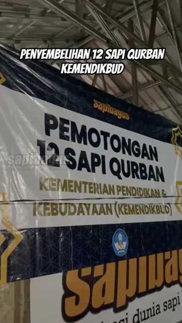 12-Sapi-Qurban-Kemendikbud-2024